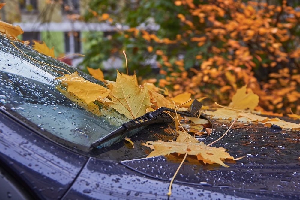 Kako pripremiti auto za jesen?