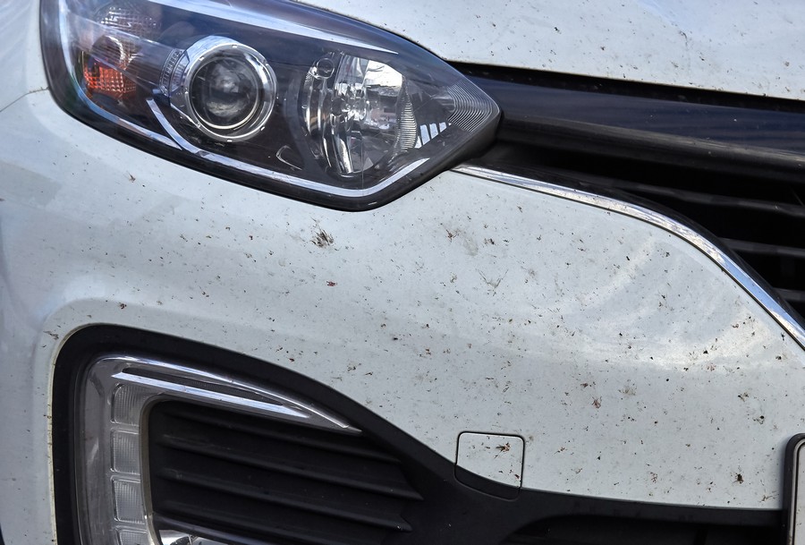 Kako skinuti zalepljene i sasušene insekte sa auta?