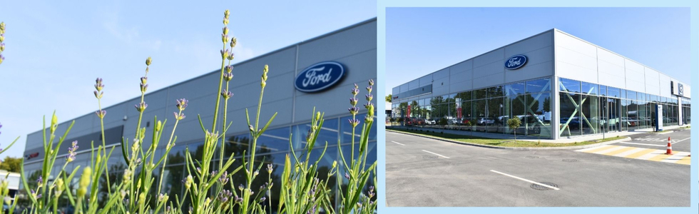 Grand Motors Novi Sad