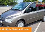 Fiat Multipla - Ravnodušnih nema! | Auto Test Polovni automobili
