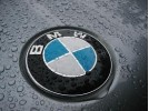 bmw Nesa