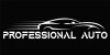 PROFESSIONAL AUTO PROFESSIONAL AUTO