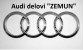 Audi delovi 